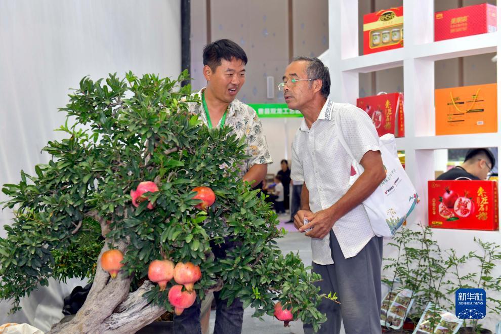 注册打鱼送现金